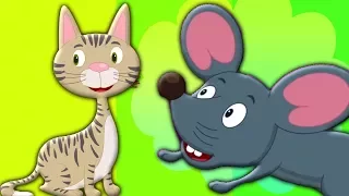 suara binatang | lagu pendidikan | belajar binatang | Nursery Rhymes | Animal Sounds Song