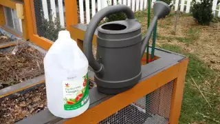 dIY kill weeds and grass the Vinegar way.