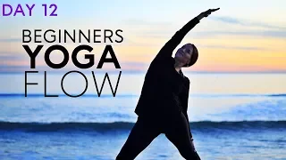 Beginners Yoga Flow (20 min Class) Day 12 | Fightmaster Yoga Videos