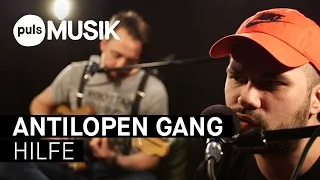 Antilopen Gang - Hilfe (PULS Live Session)