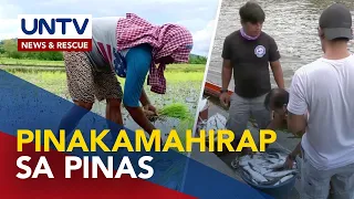 Mangingisda at magsasaka, pinakamahirap sa Pilipinas noong 2021 — PSA