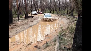 Blue Mountains Off road. Jeep vs Toyota vs Honda. Lost City track