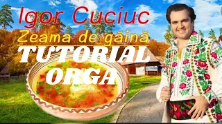 #2 Tutoriale Orga - Bătută Moldoveneasca Instrumentala “Zeama de găina” Igor Cuciuc