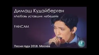Песня года 2018  Димаш Кудайберген   Любовь уставших лебедей   Фан видео