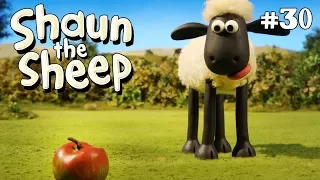 Fruit and Nuts | Shaun the Sheep Season 4 | Full Episode