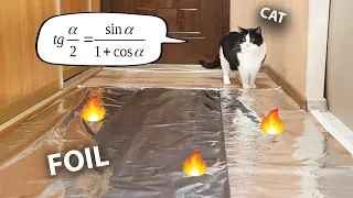 Do Cats Walk On Foil? An Experiment.