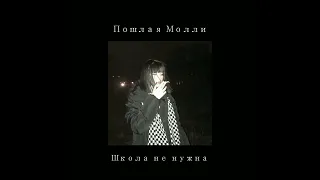 Пошлая Молли- Школа не нужна ( s l o w e d + r e v e r d ) Poshlaya Molli- Skola ne nuzhna