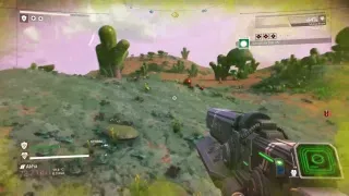 nms stream