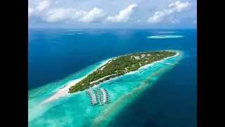 Dhigali Maldives 5*