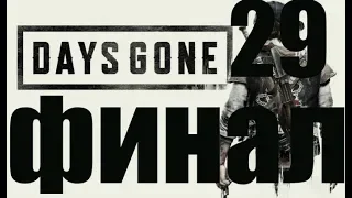 Days Gone прохождение без комментариев №29.ФИНАЛ