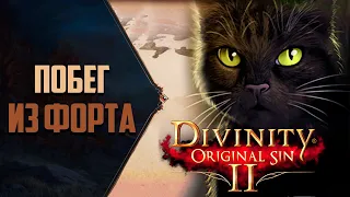 СПАСТИ РЯДОВОГО КОТА Divinity: Original Sin 2 - Прохождение #5