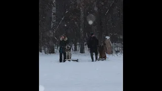 Восточно Европейская Овчарка.Обкатываем новый поводок,на уроке послушания.