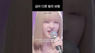 [엔믹스] 아델 Hello 커버하는 릴리