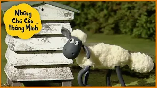 Những Chú Cừu Thông Minh 🐑 phần 1 🐑 ong cừu🐑 Tập đầy đủ