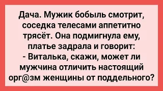 Соседка по Даче Задала Мужику Интересный Вопрос! Сборник Свежих Смешных Жизненных Анекдотов!