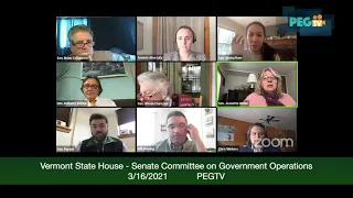 Senate Committee on Government Operations - March 16, 2021