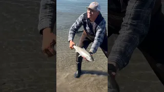 legal fishing in the Fraser River the first October 2023