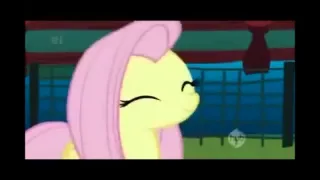 Fluttershy's Lament (1 hour loop)