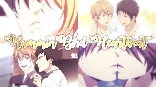 Hummingbird Heartbeat -- Multi-Fandom Yaoi AMV