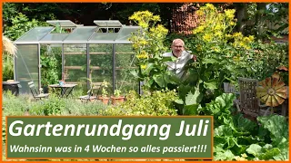 Gartenrundgang Juli - Ernten - Tomaten - Gurken - Aussaat - Hochbeet - Gewächshaus - Insekten - Bio