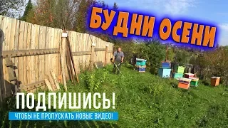 Обычный день//Осенние напевы//Деревенские будни