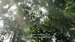 NATURE Featurette Plongeon en forêt VOST