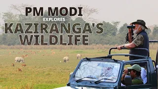 PM Modi embarks on an animal safari in Kaziranga National Park, Assam