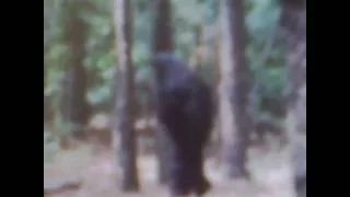 Deep forest of Oklahoma=Bigfoot caught on camera