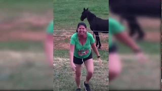 Man Doesn't Tell His Wife That She's About To Touch An Electric Fence When She Tries To Pet A Horse!