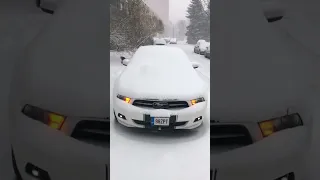 Ford Mustang #shorts #mustang #winter