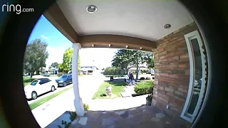 Burglary Suspects Video 1