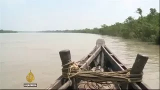 Pollution threatens world’s largest mangrove rainforest