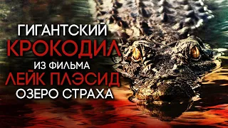 Все о Крокодиле из фильма Лейк Плесит Озеро Страха