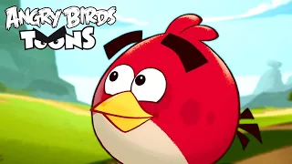 Angry Birds Toons Season 1 | Ep. 36 to 40