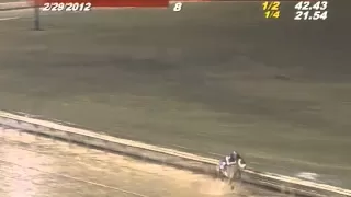 Worst Horse Racing Accident I've ever seen