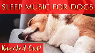 Deep Sleep Music for Dogs | Use Nature's Healing Frequency!