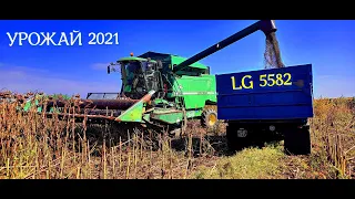 Урожай 2021/Уборка подсолнуха LG 5582