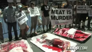 Human Meat Packages - New York Post