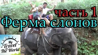 Ферма слонов Win Elephant Tour Khao Sok, Таиланд