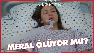 Kırgın Çiçekler Özel Kısa Bölümler | 170