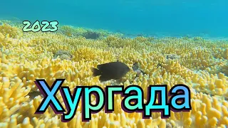 Чем удивит море в Сахл Хашиш. Хургада, Египет 2023