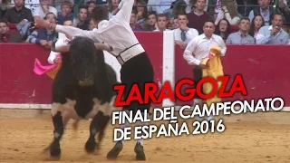 FINAL DEL CAMPEONATO DE ESPAÑA AL DETALLE - ZARAGOZA 12/10/2016 | CHAMPIONSHIP SPANISH BULL