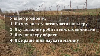 Як я підв'язую малину. Підв'язка літньої і ремонтантної малини. Шпалера для малини.