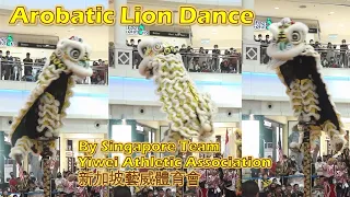 Acrobatic Lion Dance by Singapore Yiwei Athletic Association 新加坡藝威體育會