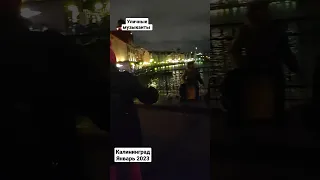 Уличные музыканты исполняют "батарейка" Жуки.  Калининград 2023