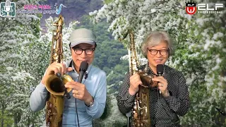 [석성노 김은산] "색소폰 고고 Saxophone Go Go"  4월   23일  제  148화