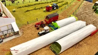 YOUTH WINNER | 2019 National Farm Toy Show Display Contest