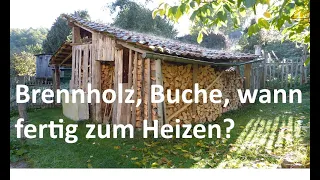 Brennholz, Buche, nach 5 Monaten trocken, stockiges Holz zum Heizen?