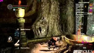 Dark Souls Speedrun - All Bosses Crapplemage - Personal Best (1:39:07)