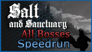 [SNS] All Bosses Speedrun in 18:20